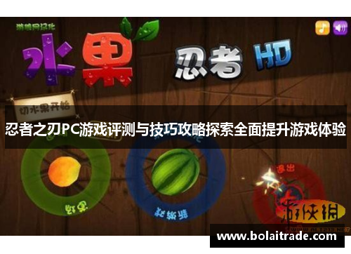 忍者之刃PC游戏评测与技巧攻略探索全面提升游戏体验